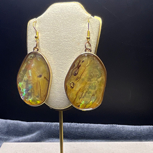 Mother pearl abalone shell - mother, of
