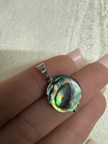 Natural abalone shell - abalone,