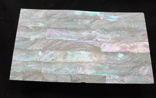 Australian abalone thin mother - thin,