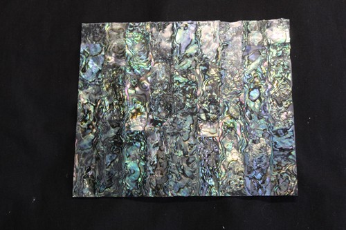 Green abalone thin sheet - abalone,