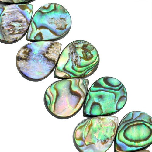 Green abalone shell mother - 6x,