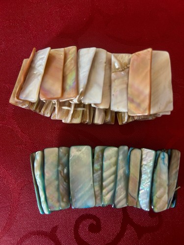 Pretty abalone shell - 2,