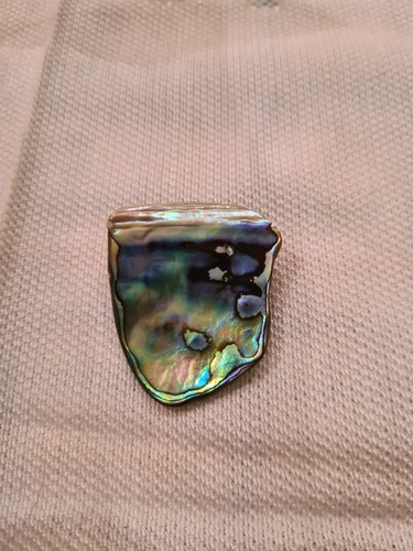 Vintage abalone shell brooch - vintage,