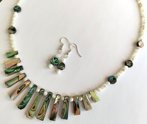 Abalone paua shell mother - paua,