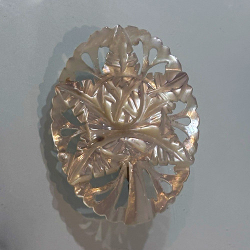 Oval mother pearl abalone - mother, of