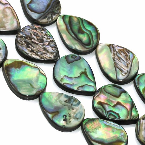 Green abalone shell - mother, of
