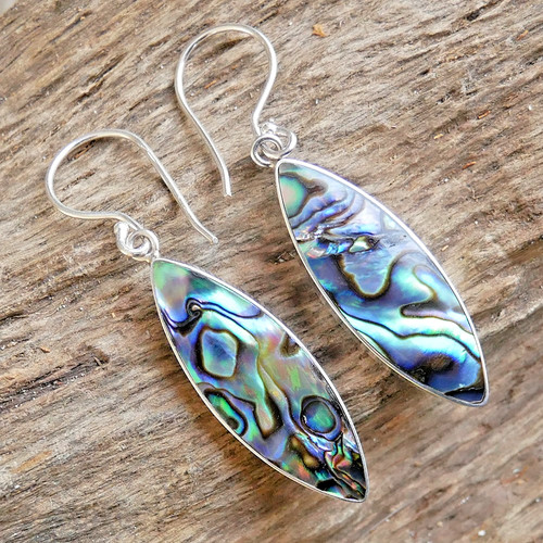 Reversible paua abalone - reversible, &