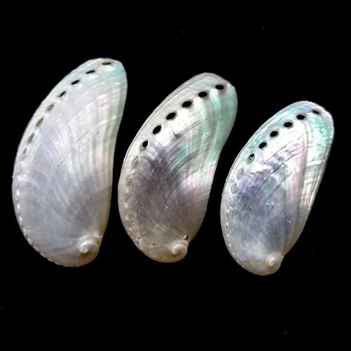 Pearl slippers pearlised - pearl,