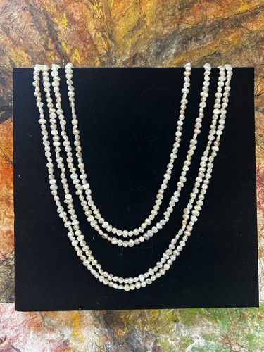Mother pearl abalone long - mother,