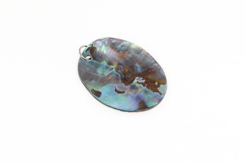 Abalone shell pendant - abalone,