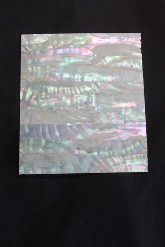 Awabi jap abalone mother of - jap,