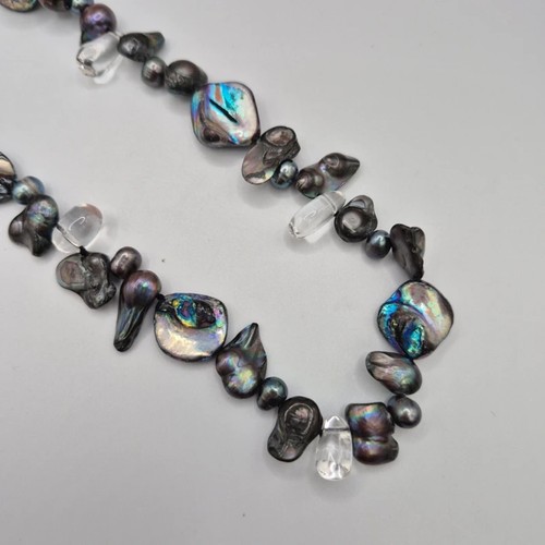 Abalone shell cultured - abalone, &