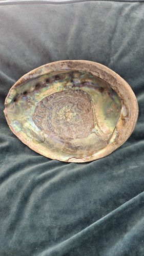 Vintage natural green - vintage, abalone